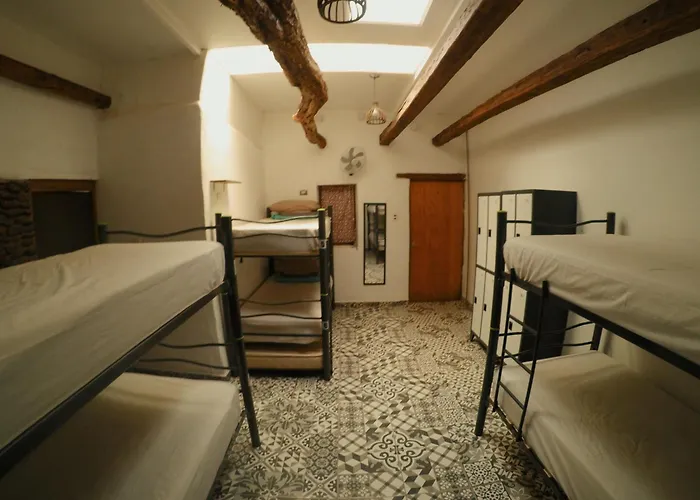 Rey Lagarto HostelHostel